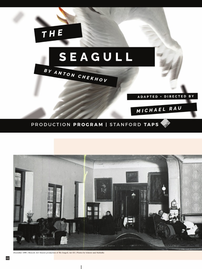 The Seagull Production Program | PDF