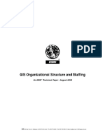 GIS Org Structure - Staffing PDF