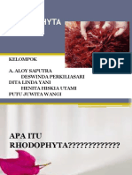 RHODOPHYTA