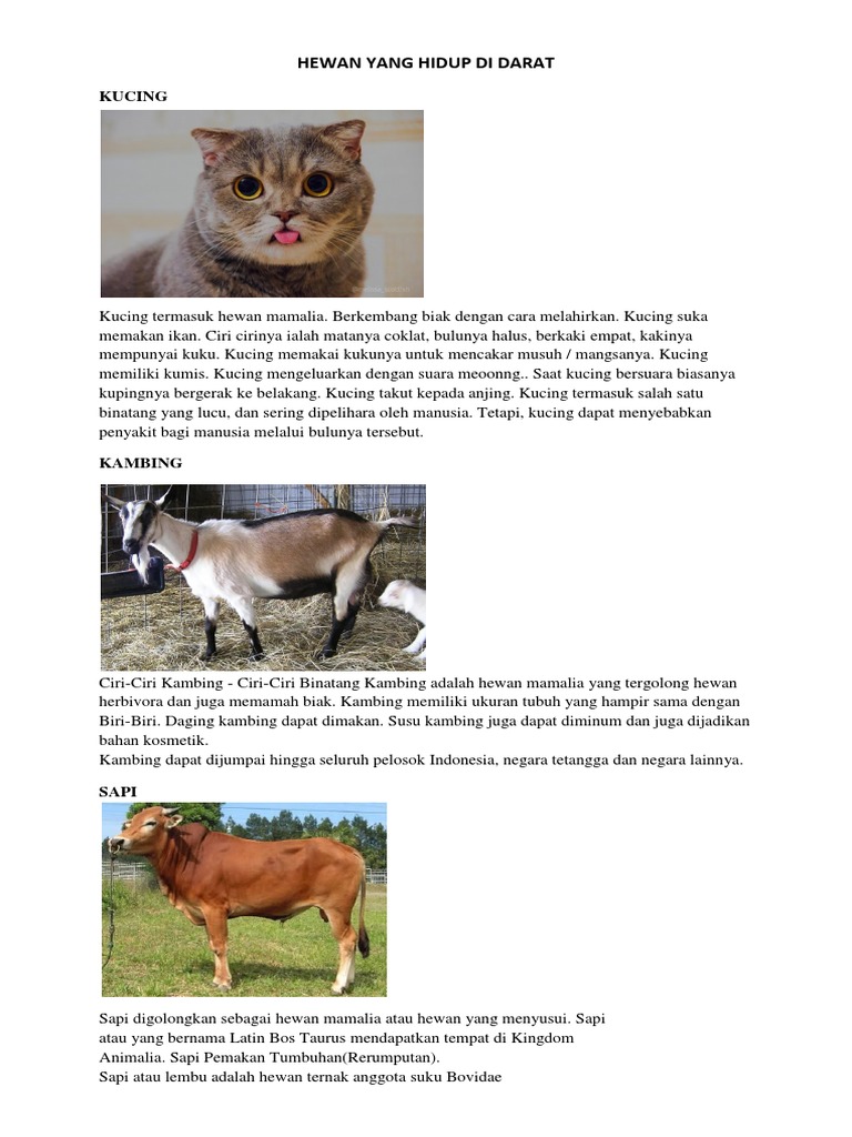 61 Koleksi Gambar Hewan Darat Dan Di Air Gratis Terbaik