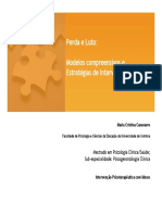 Perda&Luto - modelos.pdf