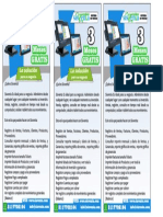 PROSPECTO SISVENTA.pdf