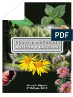Plantas Medicinais Nativas e Exóticas PDF