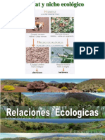 Ecosistemas: hábitats, nichos y ciclos biogeoquímicos