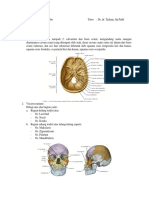 PBL Modul 1. Anatomi - Antoro