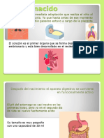 Recién Nacido Caracteristicas Fisicas