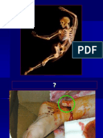 Anatomi Dan Fisiologi Skeletal System