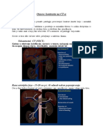 CT Contrast Protokol