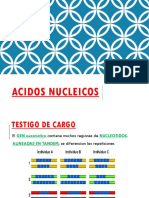 ACIDOS NUCLEICOS.pptx