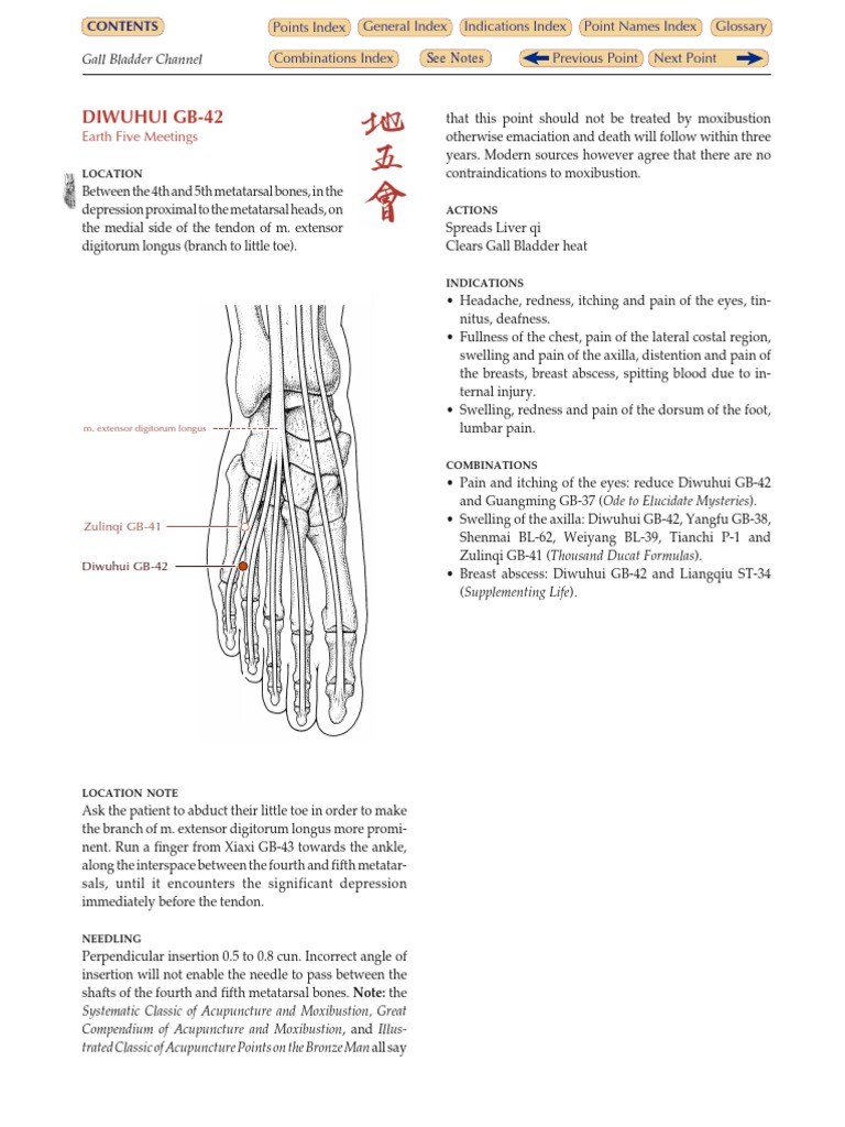 GB 42 | PDF | Acupuncture | Toe
