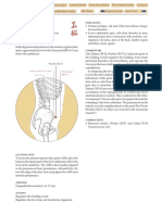 GB-27.pdf