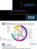 Sineace - Icacit PDF