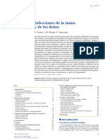 Infecciones de La Mano y de Los Dedos