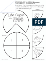 Frog Lifecycle