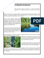 Documento