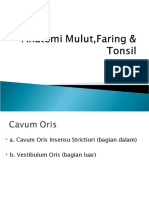Anatomi Mulut,Faring & Tonsil Pres
