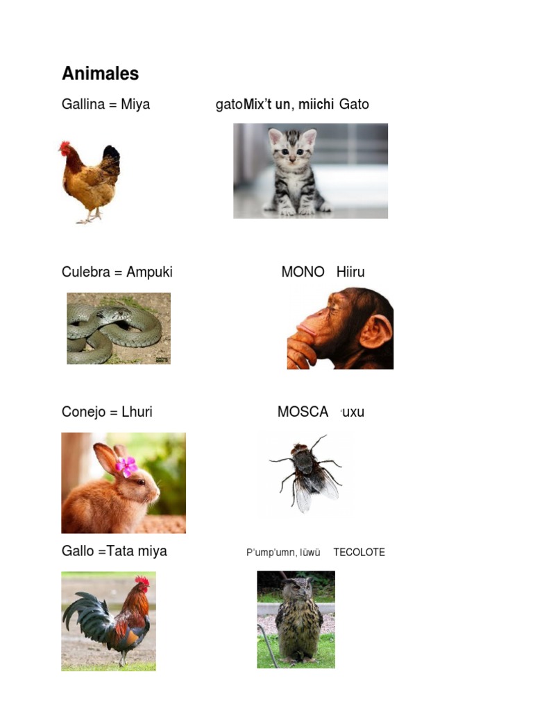 animales xincas docx