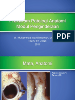 p3. Praktikum Patologi Anatomi PEnginderaan