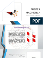 Campo Magnetico