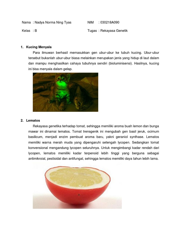 Rekayasa Genetik Nadya Pdf