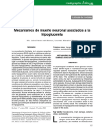 Hipoglucemia y Muerte Neuronal PDF