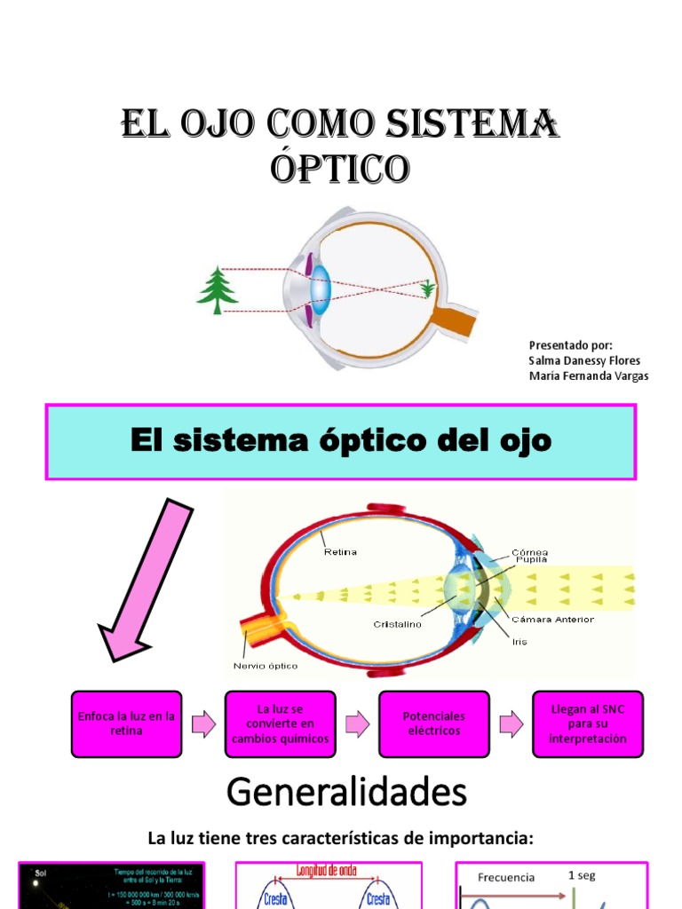 El Ojo Como Sistema Óptico PDF Ojo humano Óptica