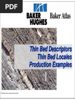 Thin Bed Descriptors Thin Bed Locales Production Examples