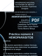 Expo 4 Hemoparásitos