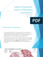 Situatia Grupurilor Etnice in Romania Interbelica