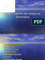 Pertemuan 10 (Faktor Internal Dan Eksternal Fotosintesis)