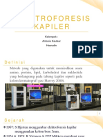 Elektroforesis Kapiler AH