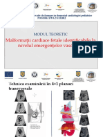 14 Cardiologie Fetala - Medici PDF