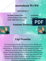 Anatomi Premolar