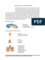 Rangkuman Sistem Respirasi Insulin PDF