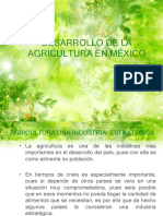 Economia Agricola Mexico