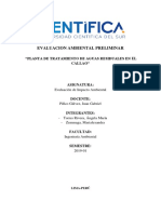 FINAL_EVALUACION AMBIENTAL PRELIMINAR.pdf