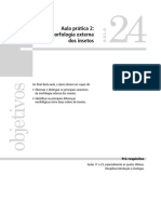 20100427-161404 Diversidade Biologica Dos Prostotomados Aula 24 PDF