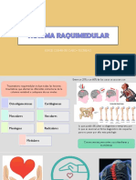 9.1 Trauma Raquimedular