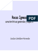 ROCAS IGNEAS.pdf