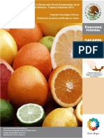 citricos (1) (1).pdf
