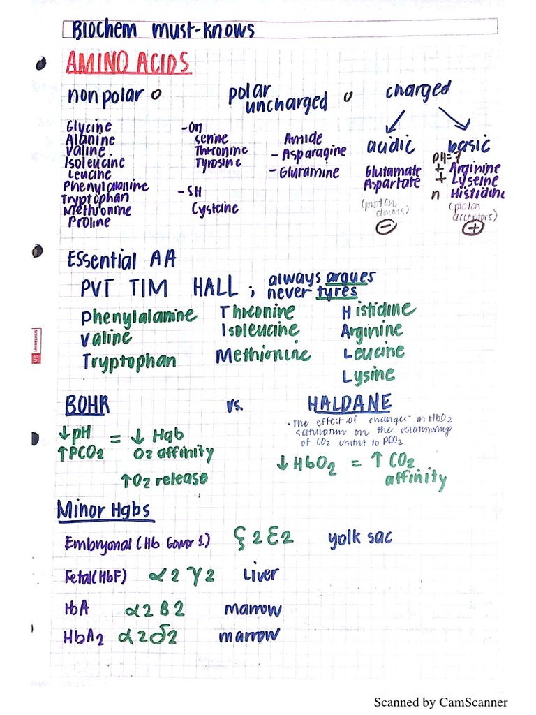 Biochem ChaNotes | PDF