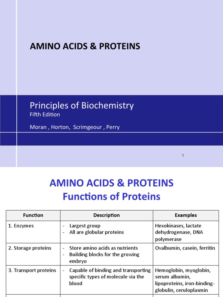 Functions and Classification of Amino Acids | PDF | Beta Sheet | Alpha ...