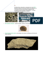 Descriptions Du Calcaire Et Leur Utilisation BENAMEUR IBRAHIM (S1, G1)
