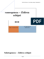 2018-01-13 Predica - Salutogeneza - Zidirea Echipei