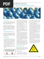 Armazenamento Gas Conselho Segurança21310 25945