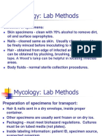 MycologyLabProceduresSummer2012.ppt