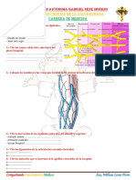 Primer Parcial