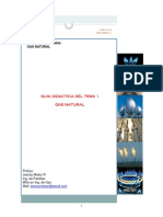 Tema 1. Gas Natural.pdf