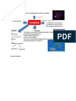 Mapa de Insulinas