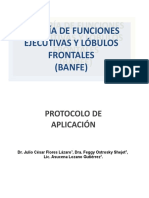 BANFE. Protocolo Modificado - Rev. Julio y Maura 2